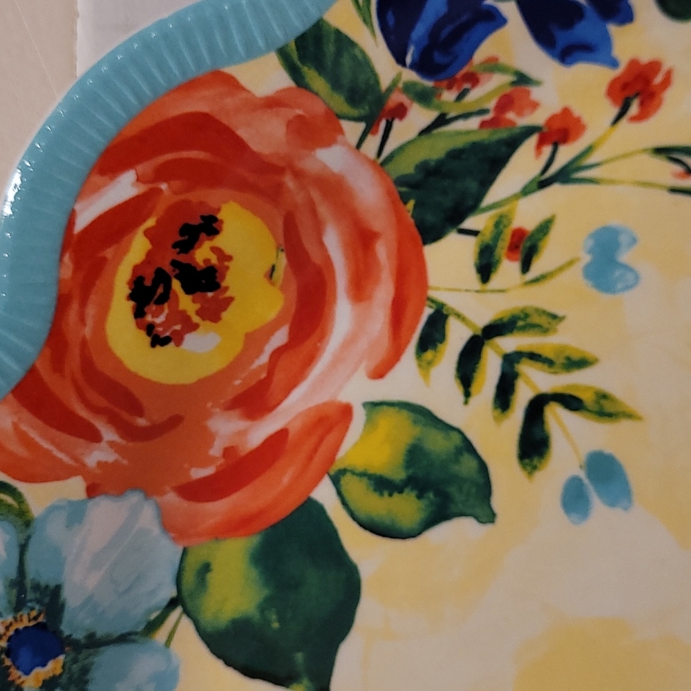 NWT Set of 4 Pioneer Woman Melamine, Delaney Plates - Picture 10 of 14